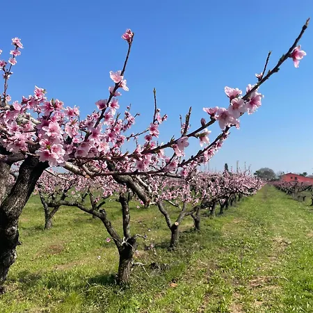 Alloggio per agriturismo Corte Vecia Della Corte Verona